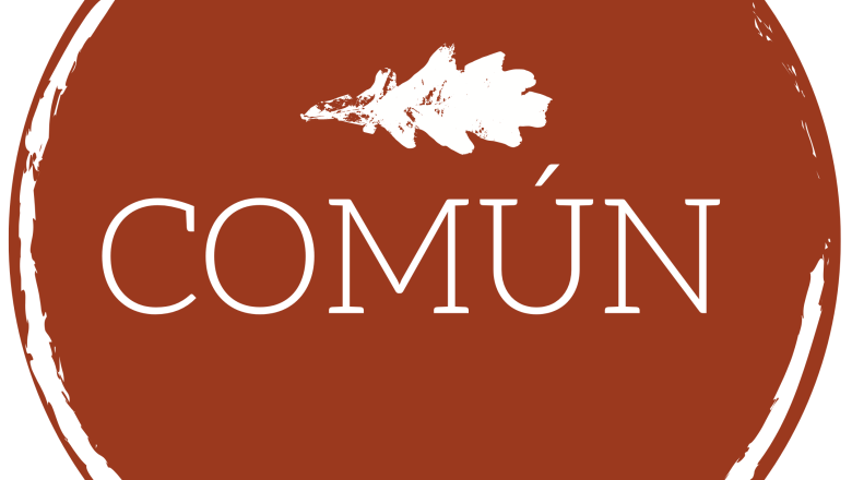 Logo Común, © Stiftung Común