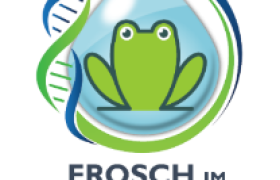 Logo Projekt Frosch im Wassertropfen