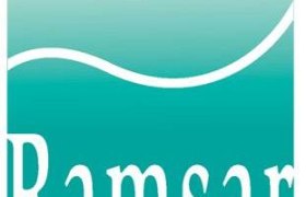 Logo RAMSAR