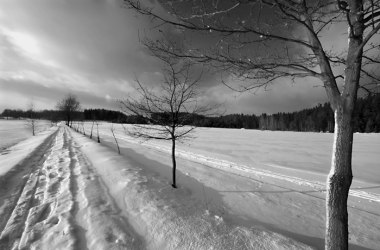 Wanderweg_Winter, © Wolfgang Dolak