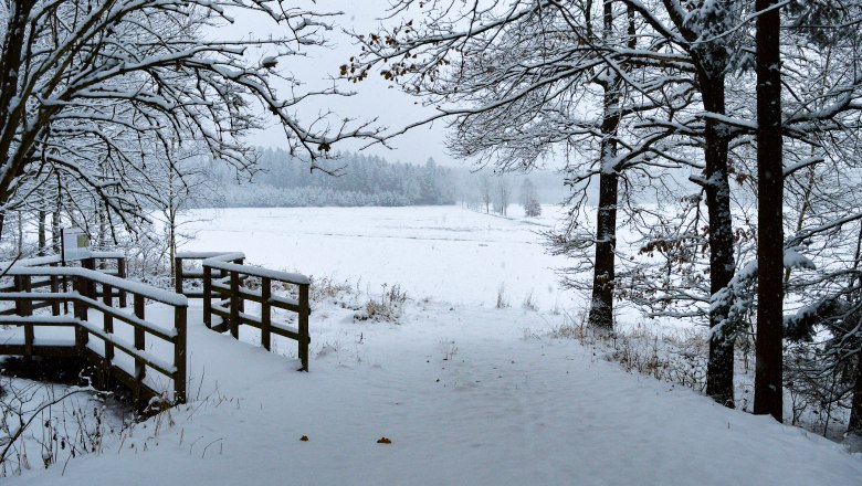 Wanderweg Winter, © Lena Kendler